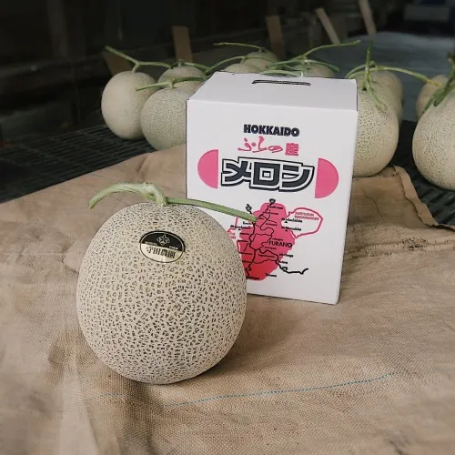【富良野産メロン】2㎏1玉