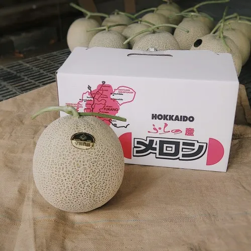 【富良野産メロン】4㎏2玉