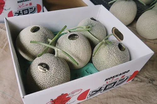 【富良野産メロン】8㎏5玉