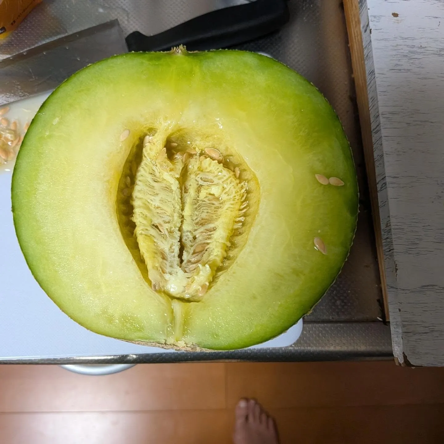 畑の片付けの時に取り忘れて残っていたメロンを回収して切ってみ...